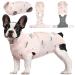 Kuoser Dog Surgery Recovery Suit Dog Recovery Suit Female Male Dog Surgical Recovery Suit Adjustable Dog Post Surgery Body Suit Recovery Suit Dog After Lightpink M M lightpink