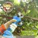 21V Cordless Electric Pruning Shears 30Mm Cutting Diameter 2Pcs Rechargeable 2Ah Lithium Battery Electric Garden Scissors Anti-Cut Safety Electric Pruner 6-8 Working Hours Small Gift - Buy Online on GoSupps.com