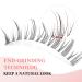 5 Pairs Natural Wispy False Eyelashes - Reusable & Easy to Apply | Natural Look (TM26) - Buy Online on GoSupps.com