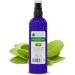 VOSHUILES - Hydrolat de Sauge Officinale COSMOS - Parfum Herbac - Camphr et Terreux - Cosm tique Naturelle pour Soin de la Peau et des Cheveux - 100ml Sauge Officinale BIO 100 ml (Lot de 1)