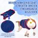 Eyein Dog Bodysuit: Soft Breathable Post-Op Wound Protection Onesie for Dogs - Zipper & Belt E-Collar Alternative (Red/Blue Medium) - Buy Online on GoSupps.com
