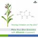 Myoc Allantoin Powder for Cosmetic Skin - 0.98 oz - Cosmetic Grade - DIY Cream, Gel, Serum & Lotion - Buy Online on GoSupps.com