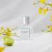 CLEAN CLASSIC Eau de Parfum Light Casual Perfume Layerable Spray Fragrance Formulated with Vegan Phthalate-Free & Paraben-Free Ingredients 1 Fl Oz (Pack of 1) Cool Cotton - Buy Online on GoSupps.com