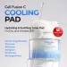 Cell Fusion C Post Alpha Cooling Pad Hydrating & Cooling Korean Toner Pads | Panthenol & Glacier Water | Hydrating Depuffing Pore-Minimizing | 70 Pads / 6.08 fl.oz. - Buy Online on GoSupps.com