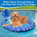 Buy Ginkago Inflatable Dinghy Dog Boat - Pet Air Mattress for Swimming Pool & Beach - Blue - Buy Online on GoSupps.com