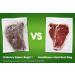 FoodSaver Vacuum Sealer Bags Rolls 8 x 20' (3-Pack) - Airtight Food Storage & Sous Vide - Buy Online on GoSupps.com