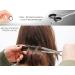 Premium Effilier Scissors for Hairdressing | 7-Inch Thinning Scissors with Case | Professional Modeling Hair Scissors - Buy Online on GoSupps.com