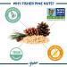 Fisher Pine Nuts 2 oz - Unsalted, Gluten-Free, Non-GMO, Vegan Friendly - Pack of 1 - Buy Online on GoSupps.com