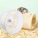 Gerbil Pig Wheel 12 Inch Silent Hamster Wheel | 26.5X23cm | Quiet Exercise Wheel - Buy Online on GoSupps.com