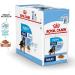 Wet SHN Maxi Puppy 140gr Pouch (10uds) - Buy Online on GoSupps.com