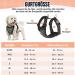 Slowton Dog Harness - No Pull Safety Harness for Small & Medium Dogs | Soft Padded & Breathable Design - Buy Online on GoSupps.com