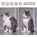 2 Pack Cat Flea Collar | 8 Months Protection | Repels Fleas & Ticks | Safe & Effective Prevention - Buy Online on GoSupps.com