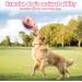 Moving Dog Toy Ball - Non-Toxic Plush Pet Toy for Active Training | Bite-Proof & Fun - Buy Online on GoSupps.com