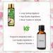 PHATOIL - Coconut & Vanilla Fragrance Oil for Diffuser, Aromatherapy, Soap & Candle Making - 10ml (Pack of 1) - Buy Online on GoSupps.com