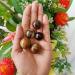 Aashita Creations 30mm Natural Tiger Eye Mini Sphere Ball - Pocket Crystal for Reiki Healing | 25-30g Brown - Buy Online on GoSupps.com