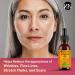 Natnique Vitamin E Oil 1 oz Natural D-Alpha Tocopherol for Face Skin Hair & Nails Pure Non-GMO Moisturizer for Scars Stretch Marks & Dry Skin Cold-Pressed Carrier Oil for Body & Beauty Care - Buy Online on GoSupps.com