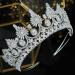 Aoligrace Luxury 5A Cubic Zirconia Bridal Tiara - Wedding Quinceanera CZ Crown | Pageant Headpiece Hair Accessory - Silver - Buy Online on GoSupps.com