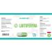 Hepatica Lactoferrin 30 vegan capsules tested by a third-party lab gluten free and GMO free - Buy Online on GoSupps.com