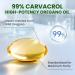 5-IN-1 Oil of Oregano with Black Seed Oil, 99% Carvacrol | Thymoquinone 320 Count Organic Oregano Oil Capsules , Vitamin D3/E/Black Pepper for Absorption, Supports Immune/Gut/Respiratory, Non-GMO 320 Count (Pack of 1) - Buy Online on GoSupps.com