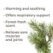 Buy Plant Therapy Scots Pine Essential Oil 30 mL | 100% Pure Undiluted & Therapeutic Grade - International Shipping Available - Buy Online on GoSupps.com