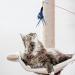 TIESOME Cat Feather Toys 12 PCS Replacement Cat Wand Refills Cat Feathers Refill Cat Toy Replacement Feathers Worms Interactive Cat Toy Wand Kitten Toys to Play Chase Exercise - Buy Online on GoSupps.com
