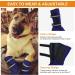 Winter Snow Dog Shoes for Large Dogs XL Blue - Anti-Slip Sole Paw Protectors for Sports Running Hiking - Adjustable Straps for Comfortable Fit - XL Size 2.48in - Buy Online on GoSupps.com