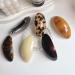 Large Hair Barrette for Women French Acetate Hair Barrette Tortoise Shell Hair Clips Vintage Snap Hair clips Accessories Gifts for Women Girls 1 count (Pack of 3) Style B - Buy Online on GoSupps.com