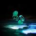 Loop Engage Equinox Earplugs | High-Quality Reusable Hearing Protection | Flexible Fit for Social Events Children's Education & Noise Sensitivity | SNR 16 dB - Buy Online on GoSupps.com