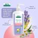 Aleva Naturals Hypoallergenic Sleep Easy Baby Hair and Body Wash for Kids and Toddlers Plant-Based Organic Aloe Vera Formula with Lavender Scent Gentle on Eyes and Sensitive Skin - 8 Fl Oz 8 Fl Oz (Pack of 1) - Buy Online on GoSupps.com
