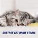 Resolve Urine Destroyer 32oz Spray, 2-Pack - Pet Stain & Odor Remover - Buy Online on GoSupps.com