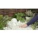 Laeto Your Signature Garden Decorative Coloured Gravel Rockery Stones And Slate Chippings Pebbles In Various Sizes (10mm White Marble) - Buy Online on GoSupps.com