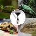 Buy Dernord 100W UV Heat Lamp for Turtles Geckos & Terrariums - Full Spectrum E27 Solar Spotlight - Buy Online on GoSupps.com