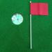 EKDJKK Mini Golf Flagstick with Stainless Steel Cup - Yard Training Accessory for Putting Green (1.3cm) - Buy Online on GoSupps.com