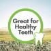 Vitakraft Timothy Hay for Small Animals - Premium Nutrition & Freshness - Buy Online on GoSupps.com