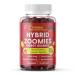 Hybrid Zoomies Energy Gummies 1000 mcg B12 20 mg Natural Caffeine from Arabica Coffee Green Tea and Guarana Extract 50 mg of CoQ10 Strawberry Lemon Spark Flavor Non-GMO No Crash - 60 Gummies