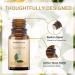 Buy Sedbuwza Jasmine Essential Oil - Pure Organic Jasmine Fragrance Oil for Diffusers Humidifiers Soaps Candles & Perfumes | 0.33 Fl Oz - Buy Online on GoSupps.com