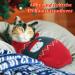 Ranypet Christmas Cat & Dog Sweater - Cozy 2-Pack Knitted Pet Apparel for Kittens & Small Dogs - Buy Online on GoSupps.com