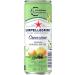 San Pellegrino Creazioni Citrus & Darjeeling Tea | Low-Calorie Lemonade 36 Calories | 12 Pack (12 x 330ml) - Limited Edition - Buy Online on GoSupps.com
