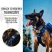 OneTigris Blue Dog Collar with Metal Buckle for Large Dogs - Durable & Adjustable Pet Accessory for Ultimate Comfort - Buy Online on GoSupps.com