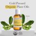 Pranarom - Tamanu Virgin Plant Oil - 2oz - Buy Online on GoSupps.com
