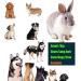 Cat Dog Flea Comb Electronic Flea Comb Lice Remover Pet Grooming Comb Brush for Dogs Cats Effective Remove Flea - Buy Online on GoSupps.com