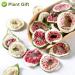 Organic Dried Smyrna Figs - Non-GMO No Added Sugar 45g - Premium Dried Fruits Gift - Buy Online on GoSupps.com