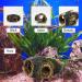 CTPENG Aquarium Cave - Kunst Resin Betta Decoration - Ideal for Small & Medium Aquariums (Harz 13.5x9x5.5 cm) - Buy Online on GoSupps.com