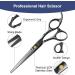 Ansnbo Professional 6 Inch Hair Cutting Scissors - Premium Stainless Steel Shears for Barber, Salon, and Home Use - Buy Online on GoSupps.com