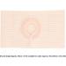 Breathable Elastic Ostomy Hernia Support Belt for Men & Women - Stoma Abdominal Support Band (M) | International Shipping - Buy Online on GoSupps.com