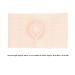 Buy Abdomen Band Stoma Support Belt | Protective & Breathable Ostomy Recovery (M) - International Shipping - Buy Online on GoSupps.com