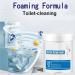 Foam Toilet Cleaner - 2023 Upgrade Toilet Cleaner Cleaner Foaming for Toilet Toilet Active Oxygen Agent Powerful Cleaning Natural Toilet Cleaner Easy to Use (1Pcs 110g) 250.00 g (Pack of 1) 110g - Buy Online on GoSupps.com