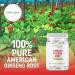 Pure American Ginseng Teabags- Natural Stress & Energy Support - 48 Vegan Teabags - Buy Online on GoSupps.com