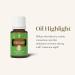 Young Living Roll-On Stress Away 10ml Essential Oil - Lavender & Lime - Ultimate Relaxation & Stress Relief - Buy Online on GoSupps.com