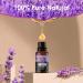 100% Natural Aromatherapy Essential Oils Set for Home Diffuser - 10ML x 20 - Gift Set for Relaxing, Cleaning, and Home Fragrance - Buy Online on GoSupps.com